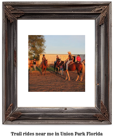 trail rides near me in Union Park, Florida